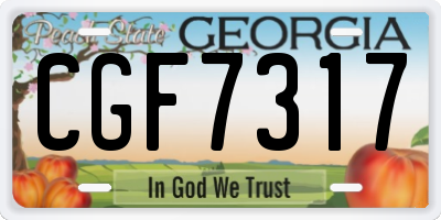 GA license plate CGF7317