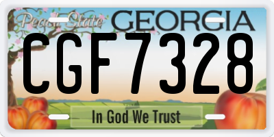 GA license plate CGF7328