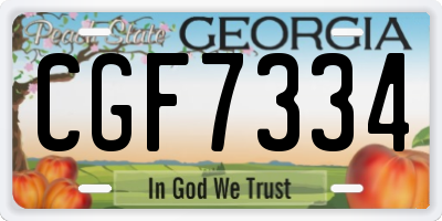 GA license plate CGF7334