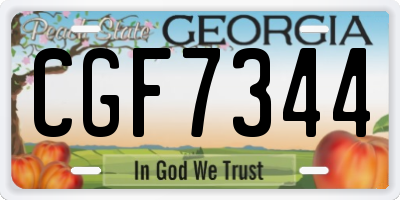 GA license plate CGF7344