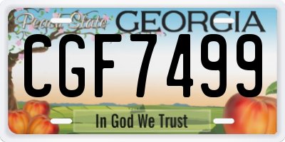 GA license plate CGF7499