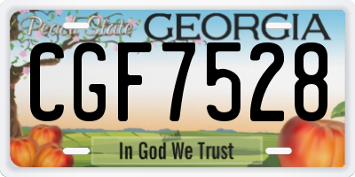 GA license plate CGF7528