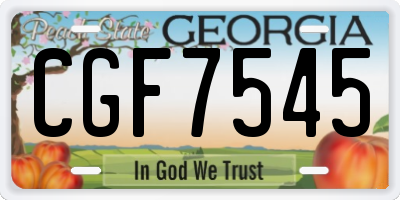 GA license plate CGF7545