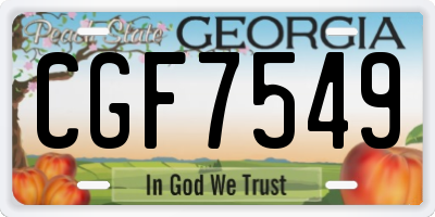 GA license plate CGF7549