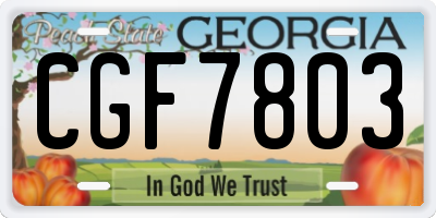 GA license plate CGF7803