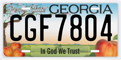 GA license plate CGF7804