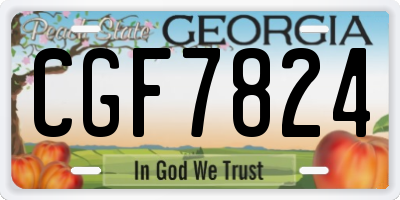 GA license plate CGF7824