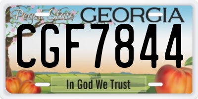 GA license plate CGF7844