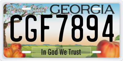 GA license plate CGF7894