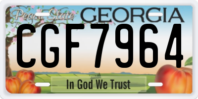 GA license plate CGF7964