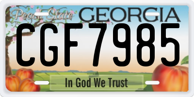 GA license plate CGF7985
