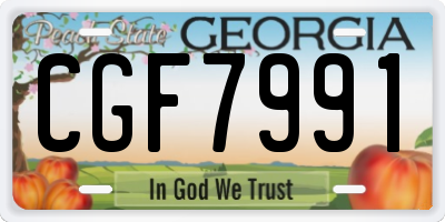 GA license plate CGF7991