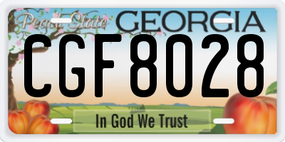GA license plate CGF8028