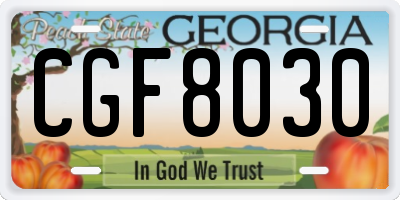 GA license plate CGF8030