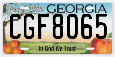 GA license plate CGF8065