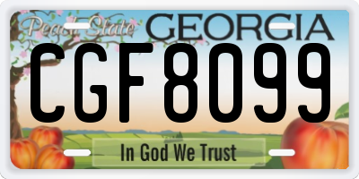 GA license plate CGF8099