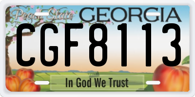 GA license plate CGF8113