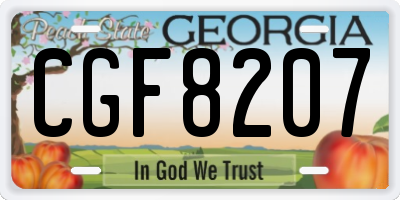 GA license plate CGF8207