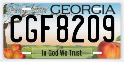 GA license plate CGF8209