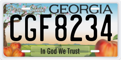 GA license plate CGF8234