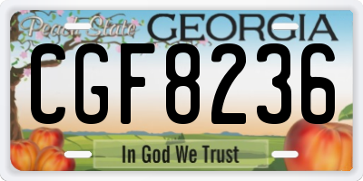 GA license plate CGF8236
