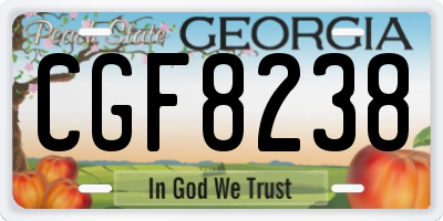 GA license plate CGF8238