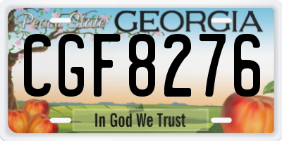 GA license plate CGF8276