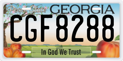 GA license plate CGF8288