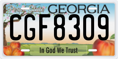 GA license plate CGF8309