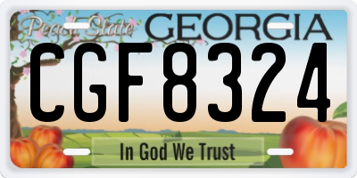 GA license plate CGF8324