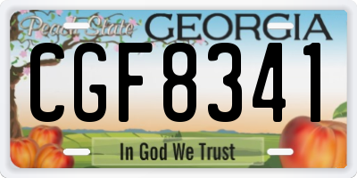 GA license plate CGF8341