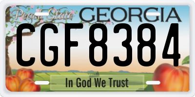 GA license plate CGF8384