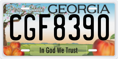 GA license plate CGF8390