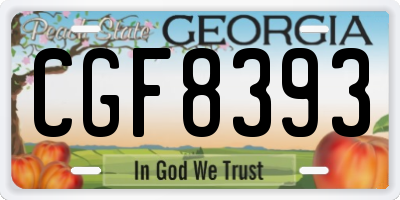 GA license plate CGF8393