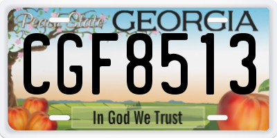 GA license plate CGF8513