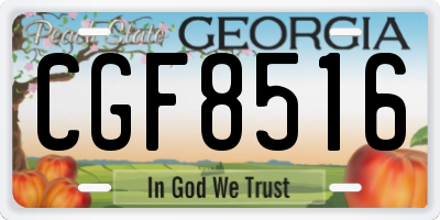 GA license plate CGF8516