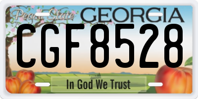 GA license plate CGF8528