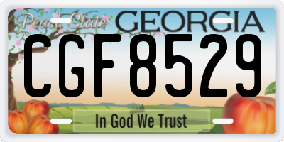 GA license plate CGF8529