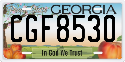 GA license plate CGF8530