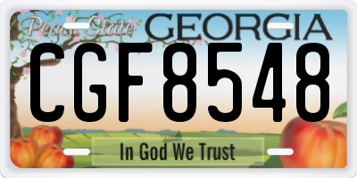 GA license plate CGF8548