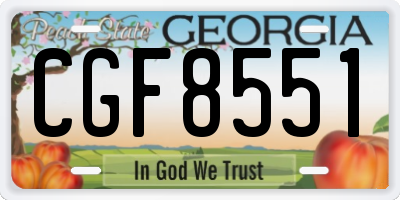 GA license plate CGF8551