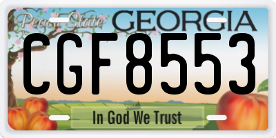 GA license plate CGF8553