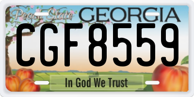 GA license plate CGF8559