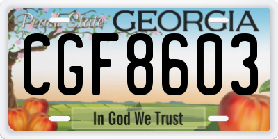 GA license plate CGF8603