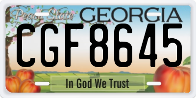 GA license plate CGF8645