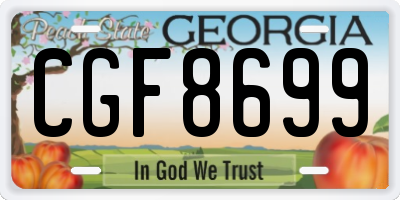 GA license plate CGF8699
