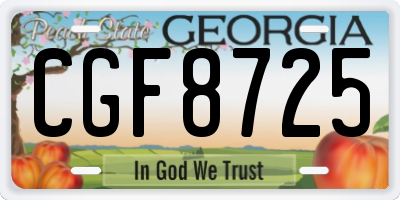 GA license plate CGF8725