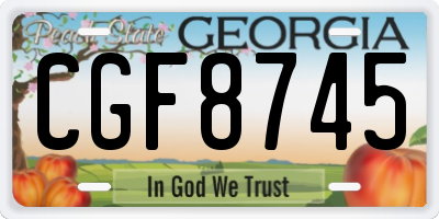 GA license plate CGF8745