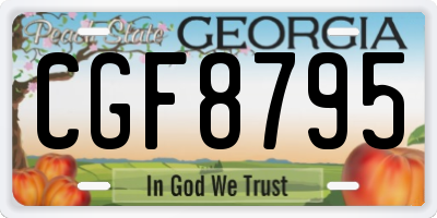 GA license plate CGF8795
