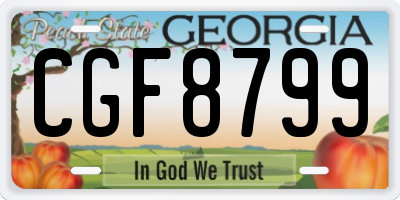 GA license plate CGF8799
